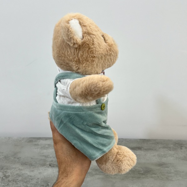 عکس شماره:2 , عروسک مدل خرس لباس دار ارتفاع 30 سانتی متر کد 873