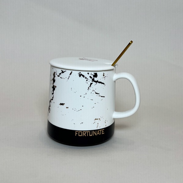 عکس اصلی ماگ سرامیکی طرح سنگ کد 995